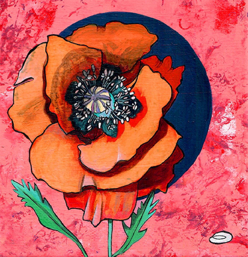 Fleur Coqueliquot
