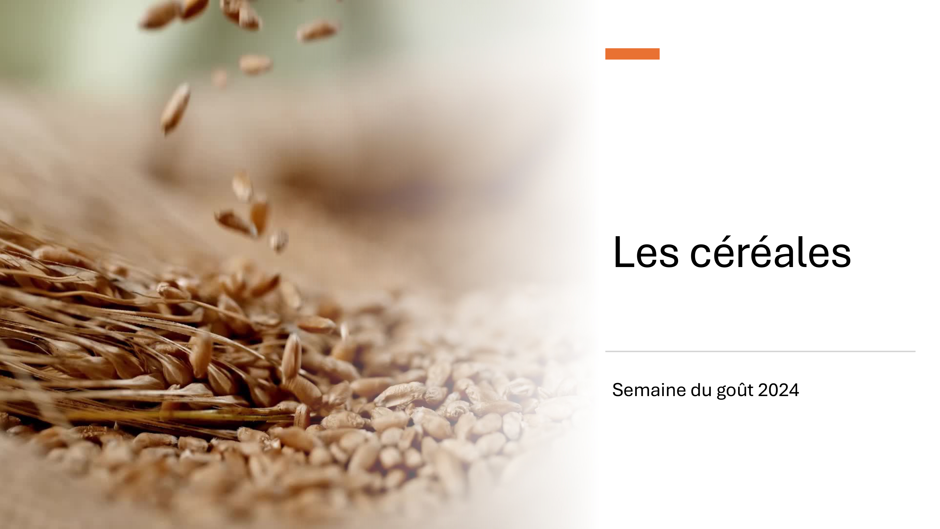 B cereales cycle3